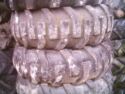 Part Worn 19.5LR x 24 Tyres