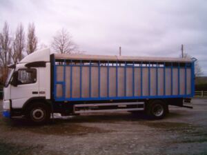 Volvo FM12 Cattle Lorry