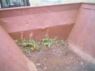 Dump Trailer 10/12 Ton