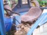 Iseki TS 3510 Tractor