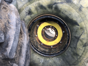 Belshina Terra Wheels 71x47.00-25